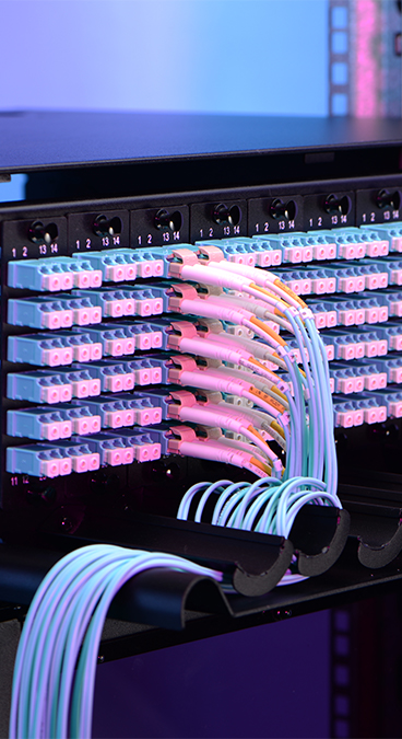 Patch panel in fibra ottica